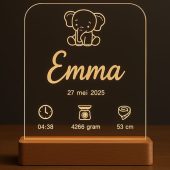 Gepersonaliseerde lamp - geboorte - fantastisch als kraamcadeau